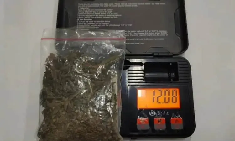 Tertangkap Tangan Bawa Ganja, Dua Pria di Cilegon Ditangkap