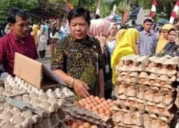 Pemkab Serang gelar OP Telur Ayam. (ISTIMEWA)