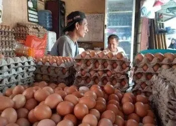 Pedagang Telur Ayam, menunggu pembeli. (ISTIMEWA)