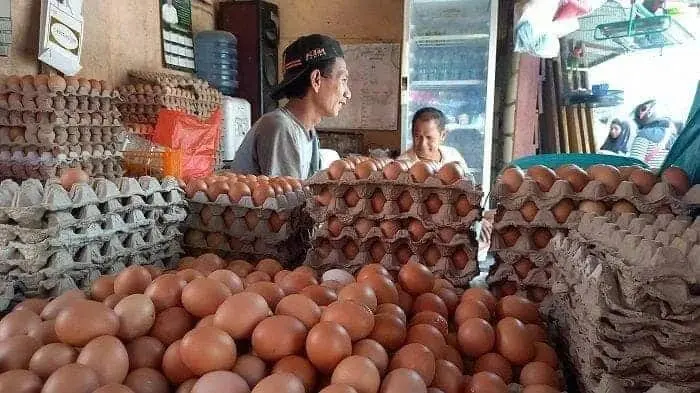 Jelang Idul Adha, Pasokan Telur Ayam ke Beberapa Pasar Tradisional di Pandeglang Minim