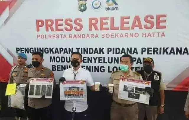 Penyelundupan 38 Ribu Benih Lobster Bernilai Miliaran Rupiah Digagalkan