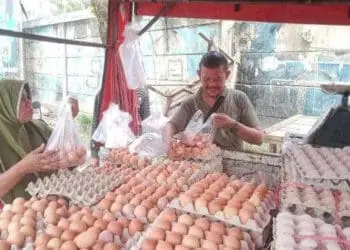 Harga Telur Naik, Bapanas Sebut Ini Penyebabnya