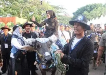 Festival Seni Multatuli Diharapkan Picu Pertumbuhan Ekonomi