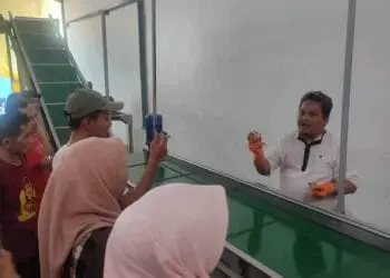 Hadirkan 2 Orang Ahli, Begini Penjelasan Kepala Diskoperindag Pandeglang Soal Mesin Porang