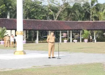 Raih WTP 15 Kali, Bupati Tangerang Apresiasi Sekda dan ASN