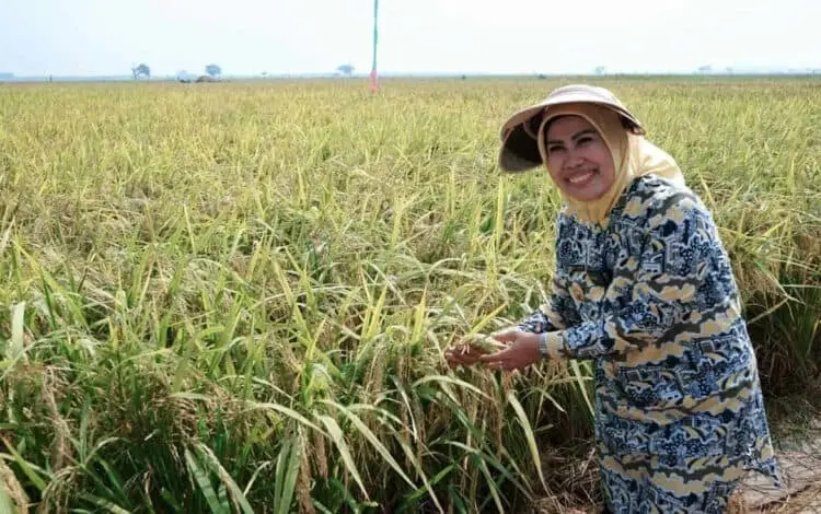 Berprestasi di Bidang Pertanian, Bupati Tatu Raih Satyalancana Wira Karya dari Presiden RI