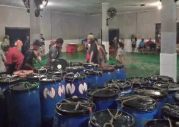 Enam Bulan, TPI Labuan Hanya Setor PAD Rp100 Juta