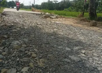 RUSAK - Ruas jalan di Desa Tunggal Jaya - Ujung Jaya, Kecamatan Sumur, Kabupaten Pandeglang, terlihat rusak sepanjang 24 Km. (FAHRIE/SATELITNEWS.COM)