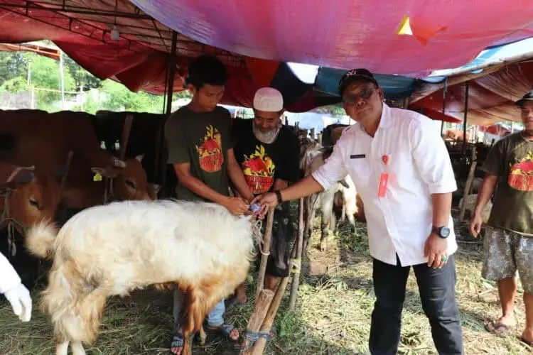 PEMERIKSAAN HEWAN KURBAN: Kepala DPKP Kabupaten Tangerang Asep Jatnika bersama tim pemeriksa hewan kurban saat meninjau lapak penjualan hewan kurban di kawasan Bencongan, Kecamatan Kelapa Dua, Selasa (20/6/2023). (ISTIMEWA)