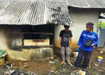 Seorang relawan Taruna Siaga Bencana (Tagana) Pandeglang, meninjau lokasi kebakaran. (ISTIMEWA)