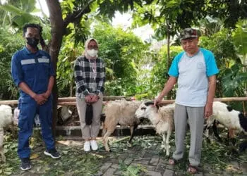 Rayakan Idul Adha, Citiplaza Kutabumi Salurkan Hewan Kurban