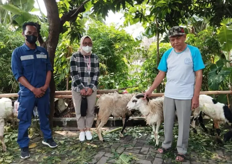Rayakan Idul Adha, Citiplaza Kutabumi Salurkan Hewan Kurban
