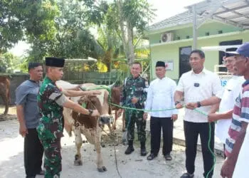 Dandim 0510/Tigaraksa : Pembagian Daging Hewan Kurban Harus Tertib dan Tepat Sasaran