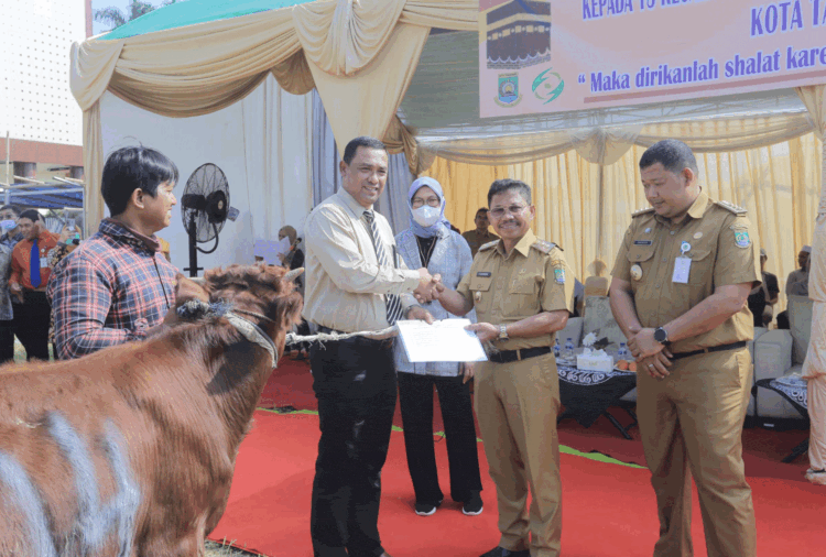RSUP Sitanala Beri 32 Ekor Sapi Kurban ke Pemkot Tangerang