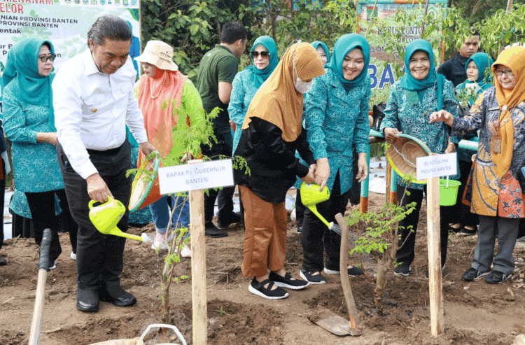 Al Muktabar Luncurkan Gerakan Menanam Sejuta Pohon Kelor