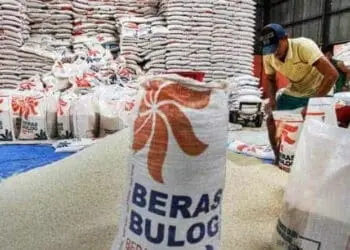 Cadangan Beras di Lebak Aman Hingga Maret 2025