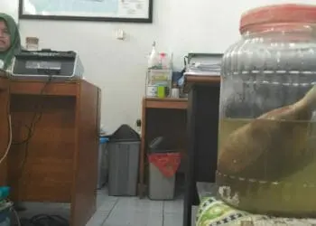 Minim Penjagaan, Zona Bahari Balai TNUK Rawan Penjarahan