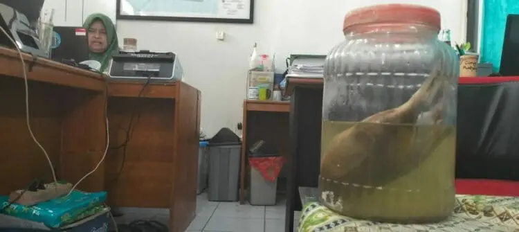Minim Penjagaan, Zona Bahari Balai TNUK Rawan Penjarahan