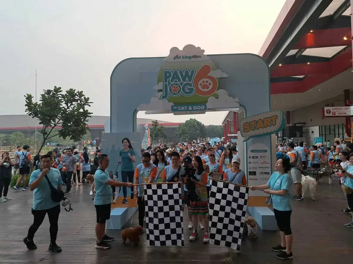 PAWJOG Keenam Digelar PET KINGDOM di QBIG BSD Tangerang PAWJOG Keenam Digelar PET KINGDOM di QBIG BSD Tangerang