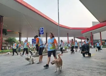 PAWJOG Keenam Digelar PET KINGDOM di QBIG BSD Tangerang