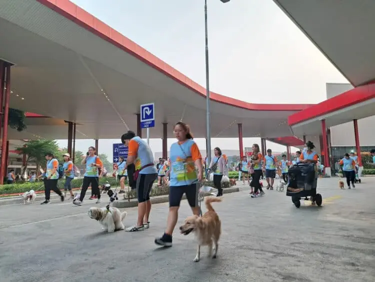 PAWJOG Keenam Digelar PET KINGDOM di QBIG BSD Tangerang