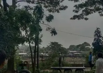 Pohon Tumbang Akibat Laka Lantas, Ini Langkah Penanganan Pemkot Tangerang