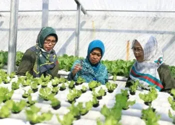 Wali kota Arief Ajak Pengusaha Manfaatkan Sistem Pembayaran Digital