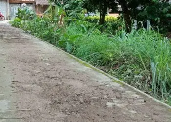 Menelusuri Peninggalan Kereta Api Rangkasbitung – Labuan Kabupaten Pandeglang