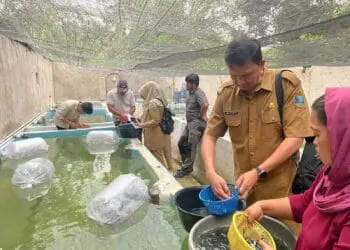 Diskan Kabupaten Serang Akan Bina Puluhan Pembudidaya Ikan Tawar, Ini Tujuannya