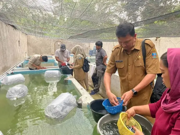 Diskan Kabupaten Serang Akan Bina Puluhan Pembudidaya Ikan Tawar, Ini Tujuannya