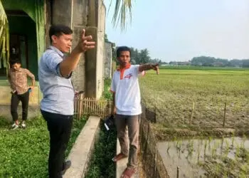 Puluhan Hektar Lahan Pertanian di Cikeusal Kabupaten Serang Tidak Teraliri Air