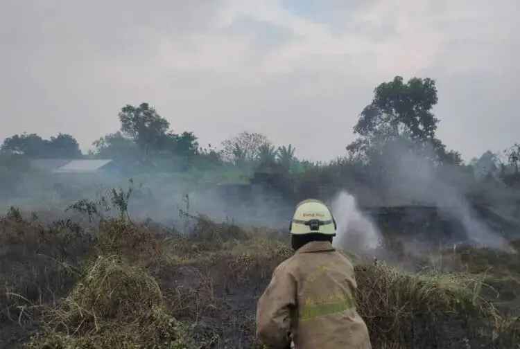 Sehari Kebakaran Lahan Terjadi di 3 Kecamatan di Kabupaten Tangerang