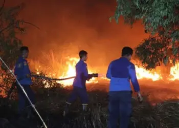 Sejak Januari 2023, 58 Kasus Kebakaran Terjadi di Kabupaten Serang