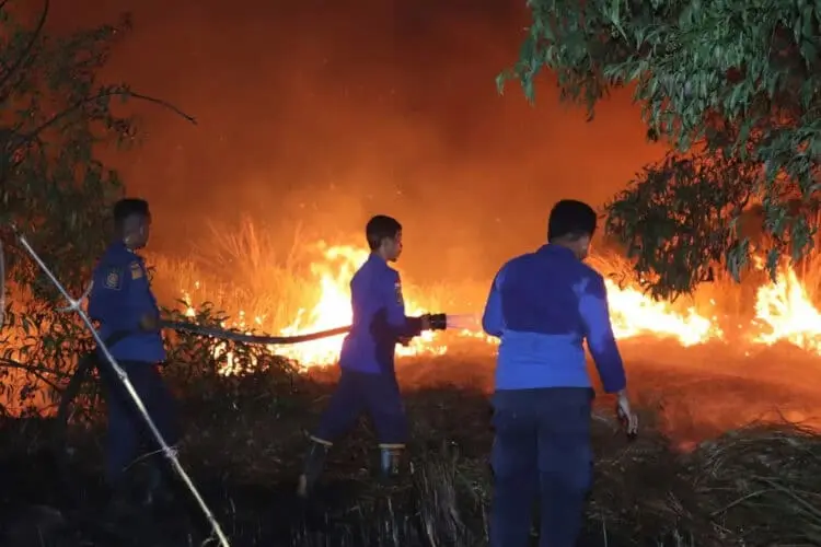 Sejak Januari 2023, 58 Kasus Kebakaran Terjadi di Kabupaten Serang
