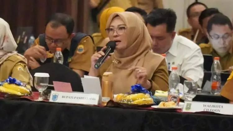 SAMPAIKAN GAGASAN - Bupati Pandeglang Irna Narulita, menyampaikan gagasan dalam acara Kick off Meeting RPJPD Provinsi Banten, Selasa (29/8/2023). (ISTIMEWA)