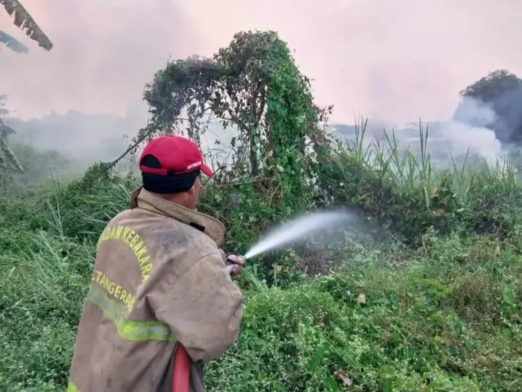 50 Hektare Lahan Gambut di Kabupaten Tangerang Terbakar