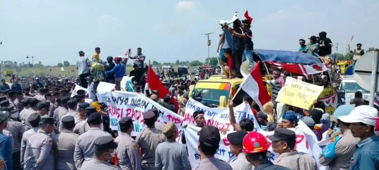 Ribuan Pengusaha Penggilingan Padi di Banten Kepung PT Wilmar