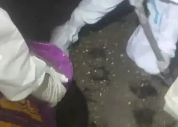 Ribuan Kelelawar Mati di Bekas Konveksi, Warga Desa Rajeg Dicek Kesehatan