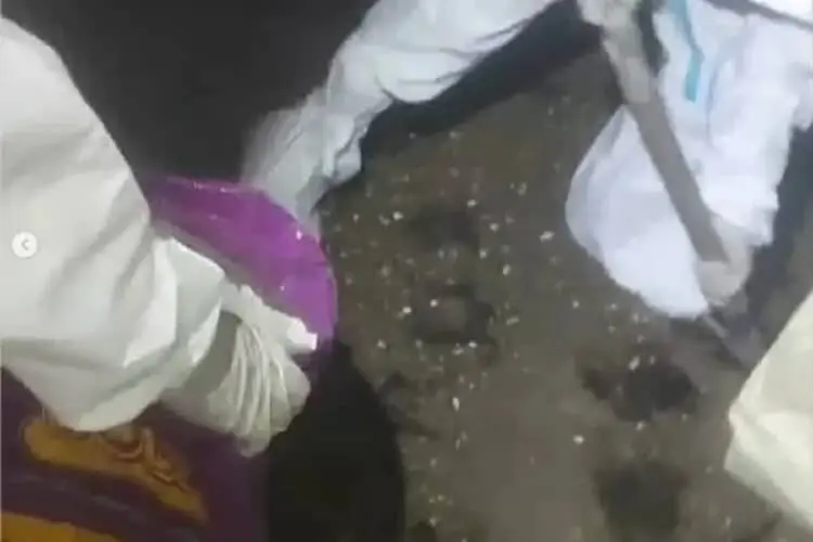 Ribuan Kelelawar Mati di Bekas Konveksi, Warga Desa Rajeg Dicek Kesehatan