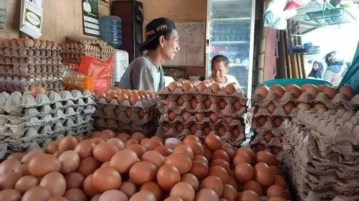 Harga Telur Ayam di Pandeglang Turun Dalam Sepekan, "Emak - emak" Tersenyum Riang Gembira