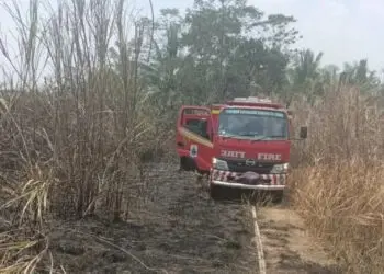 Lahan Seluas 1 Hektare di Lebak Dibakar ODGJ