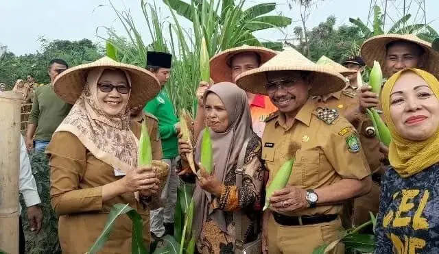 Manfaatkan Lahan Tidur, Pemkot Tangerang Panen Jagung