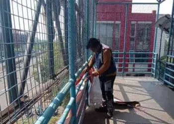 Dishub Kota Tangerang Bersih-bersih JPO