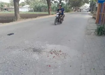 Tragis, Tunggui Kakak Beli Pulsa, Bocah Tewas Terlindas Truk Tanah