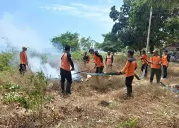 Antisipasi Kebakaran Hutan, Ini yang Dilakukan Balai TNUK Pandeglang