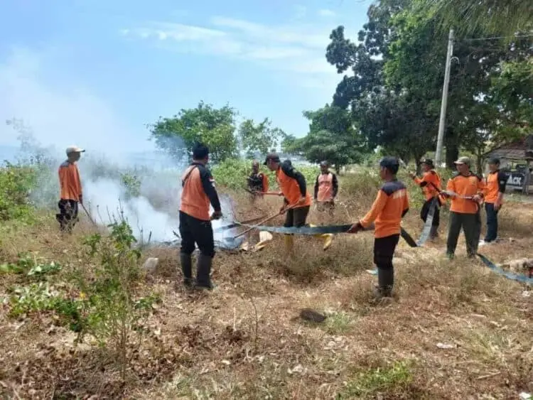 Antisipasi Kebakaran Hutan, Ini yang Dilakukan Balai TNUK Pandeglang