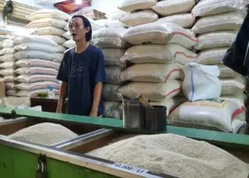 Kemarau Panjang, Harga Beras di Kabupaten Tangerang Masih Tinggi