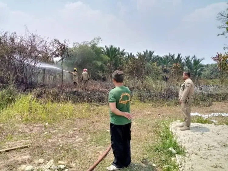 Kebakaran Ilalang Terjadi di Perumahan Triraksa Vilage 2