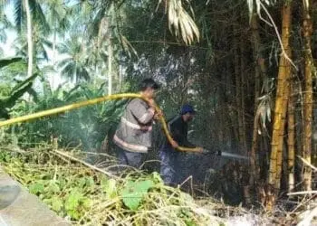 Petugas Damkar BPBDPK Kabupaten Pandeglang, sedang memadamkan kobaran api yang membakar lahan perkebunan, beberapa waktu lalu. (ISTIMEWA)