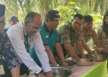 Antisipasi Puso Akibat Kemarau, Ini yang Dilakukan DPKP Kabupaten Pandeglang 